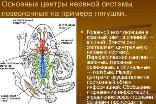 Сайт kraken в tor